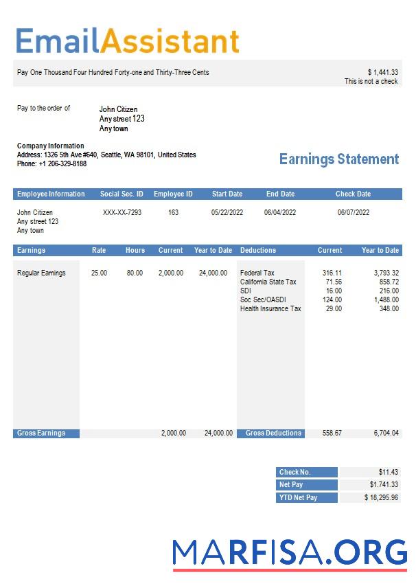 Realistic Email services company earning statement sample